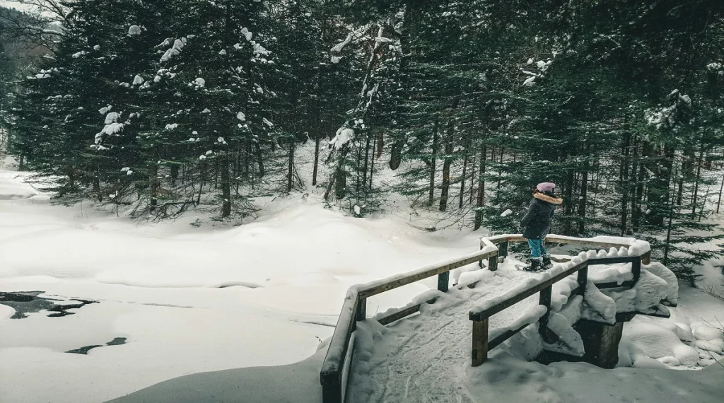 Canadian seasons during winter with snow-covered scenery