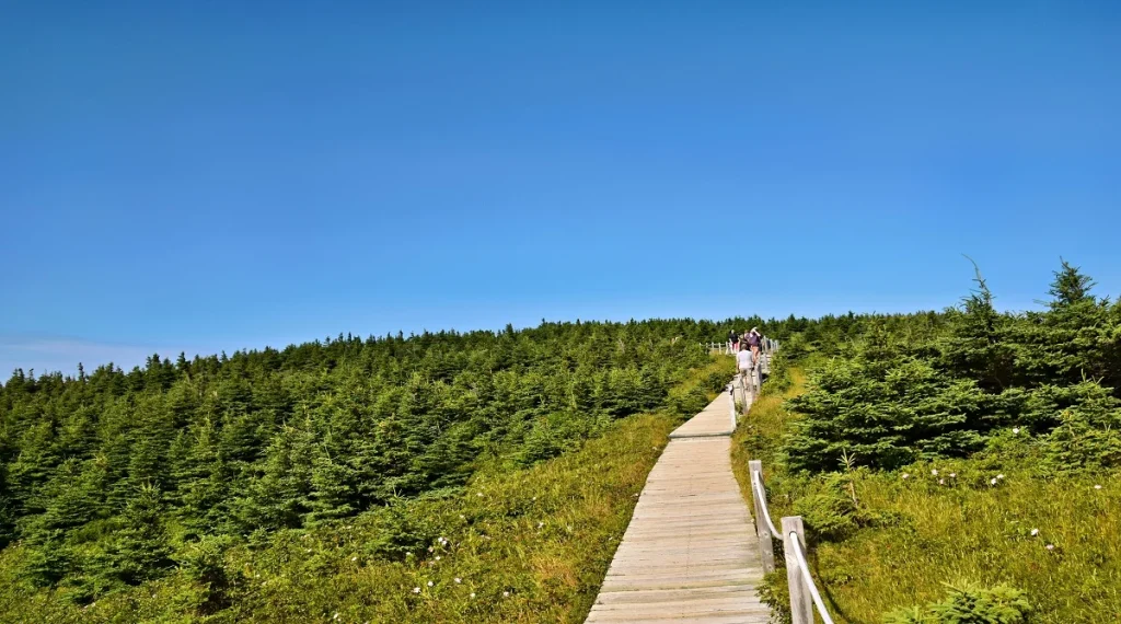 simple scenic walk in Canada on an accessible outdoor route