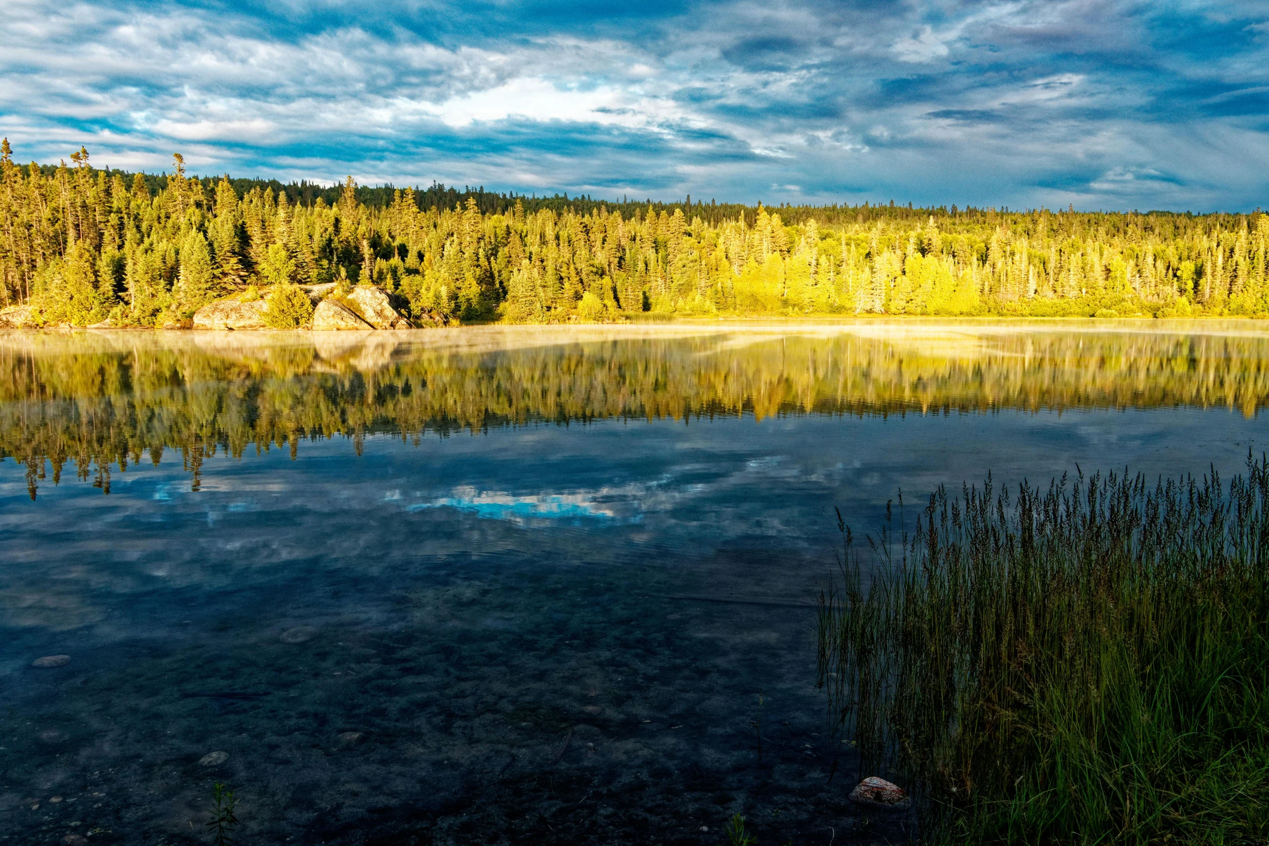 forests in Canada shaping nature and scenic landscapes