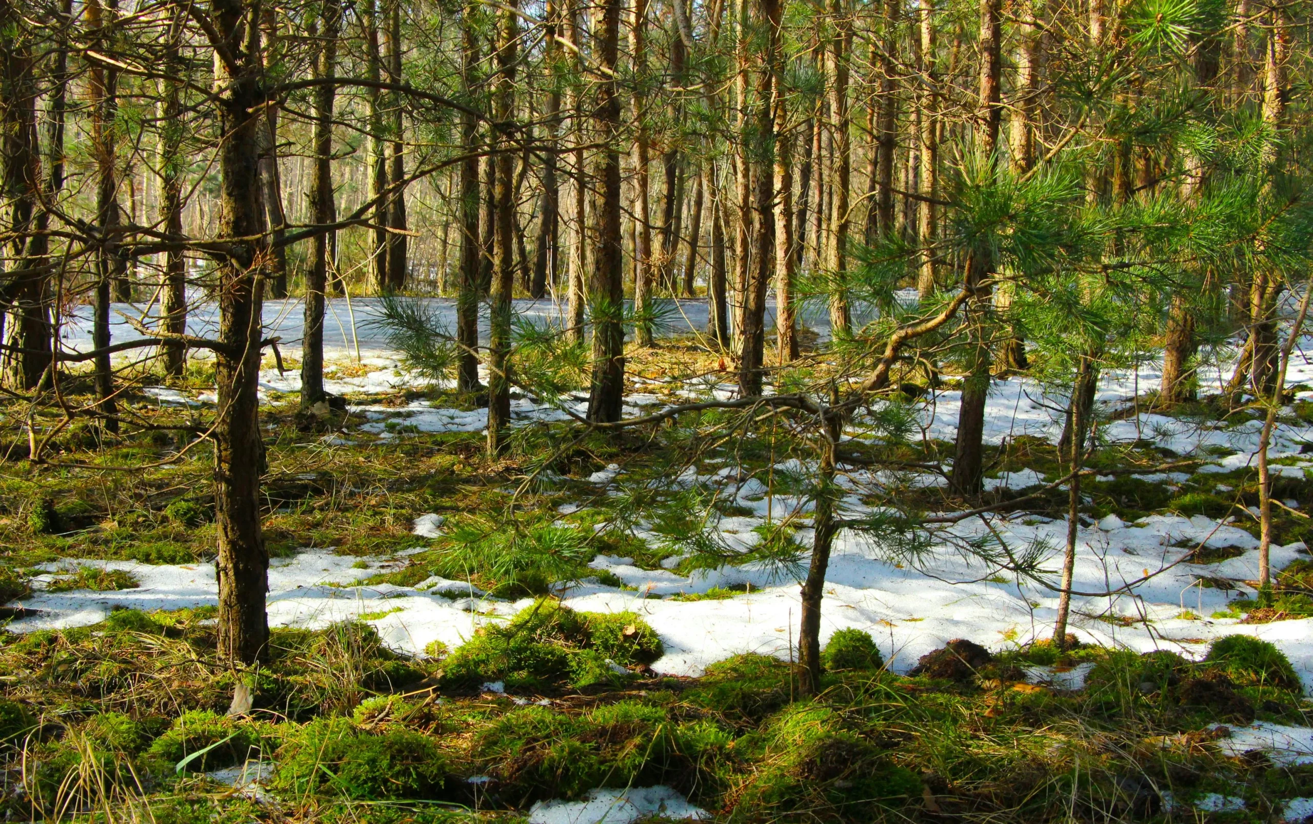 spring in Canada affecting travel and outdoor movement