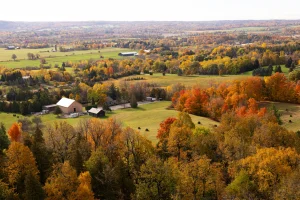 fall weather in Canada shaping public spaces and seasonal atmosphere
