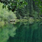 Calm lakeside stop in Canada with still water and surrounding trees