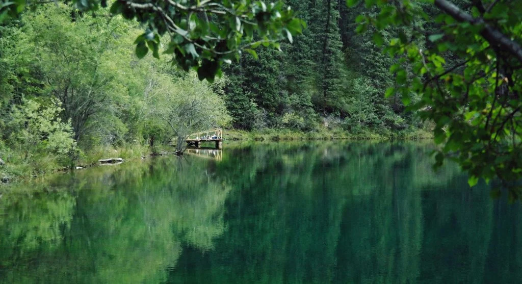 Calm lakeside stop in Canada with still water and surrounding trees
