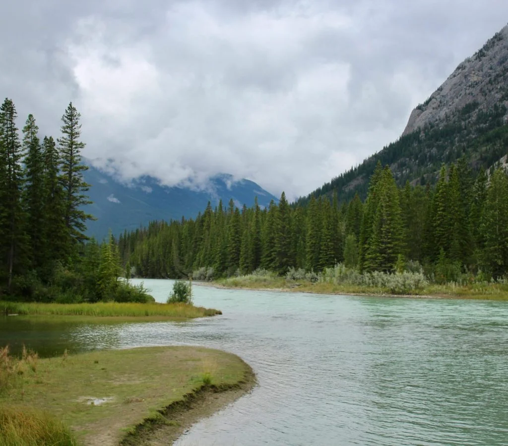 River valleys in Canada with lush vegetation and wildlife