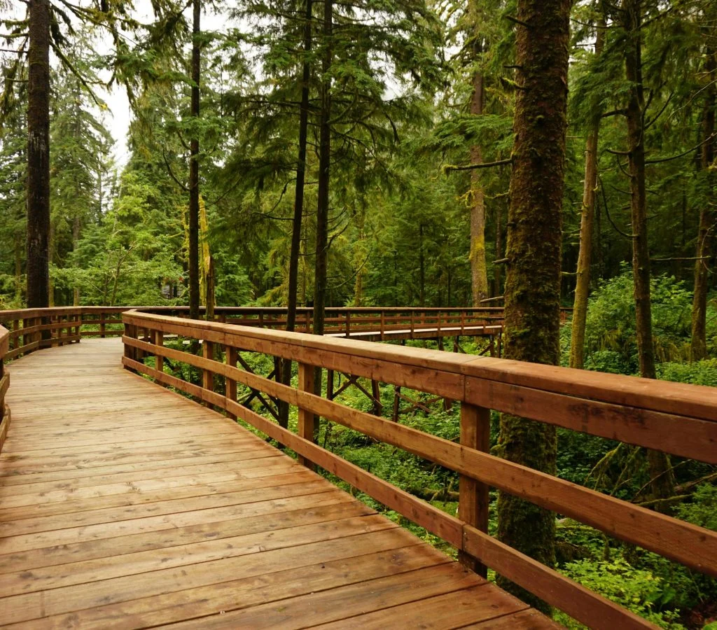 Person walking on a serene trail in Canada wearing outdoor gear