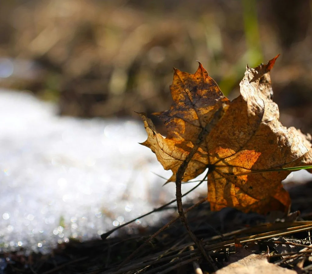 Person bundled up outdoors during sudden cold snap in Canada