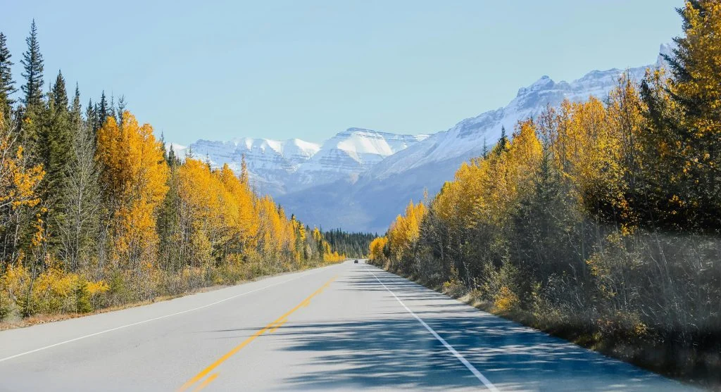 Tree-lined roads in Canada with fall foliage