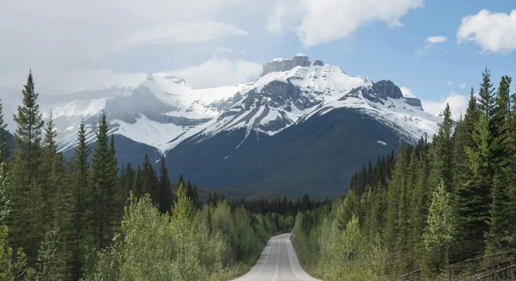 Scenic roadside lookouts in Canada with changing seasons