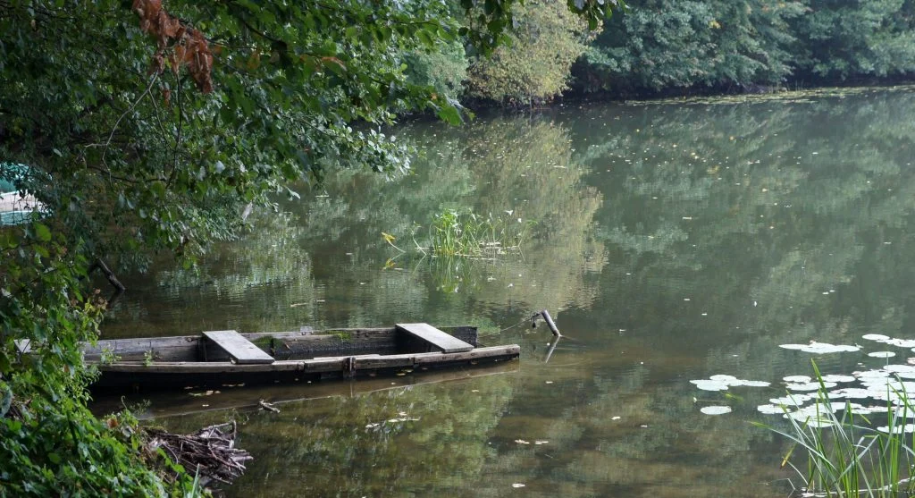How Quiet Riverbanks Create a Different Kind of Nature Experience Across Canada