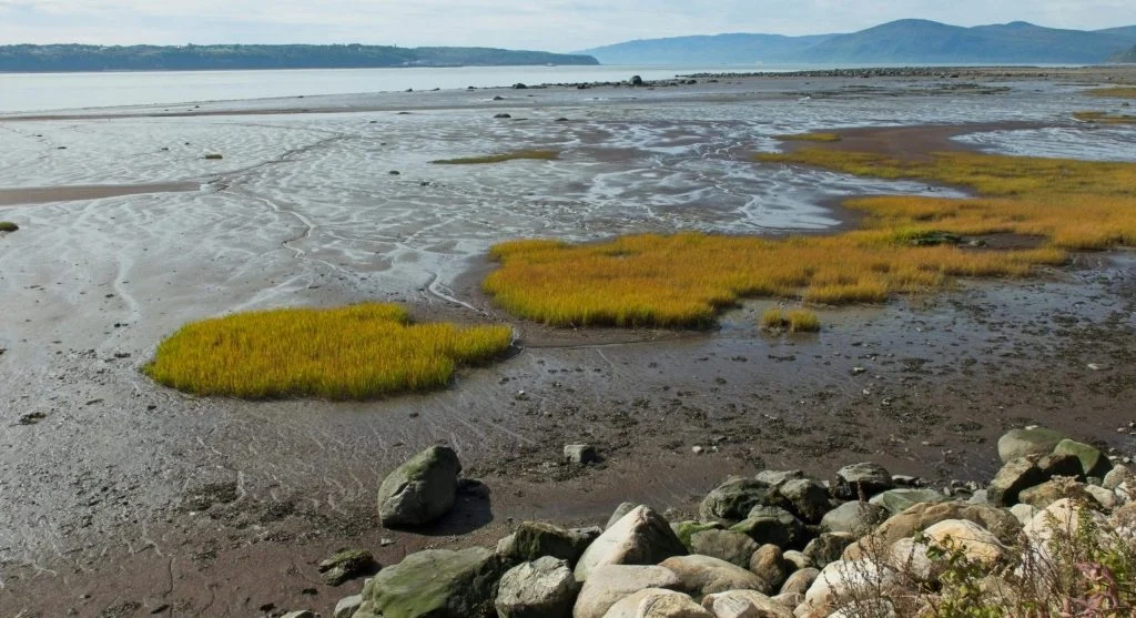 Canada tidal flats low tide shoreline