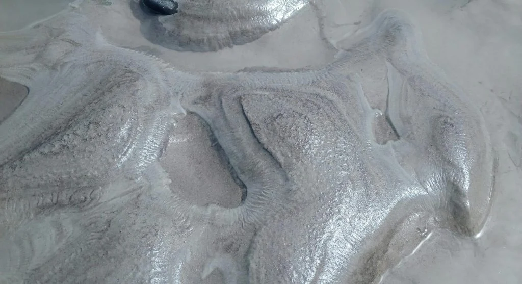 tidal flats in Canada with wet sand