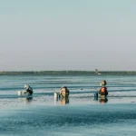 tidal flats in Canada shoreline