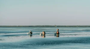 tidal flats in Canada shoreline