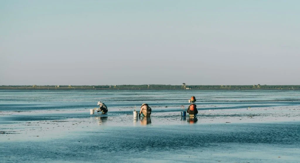 tidal flats in Canada shoreline
