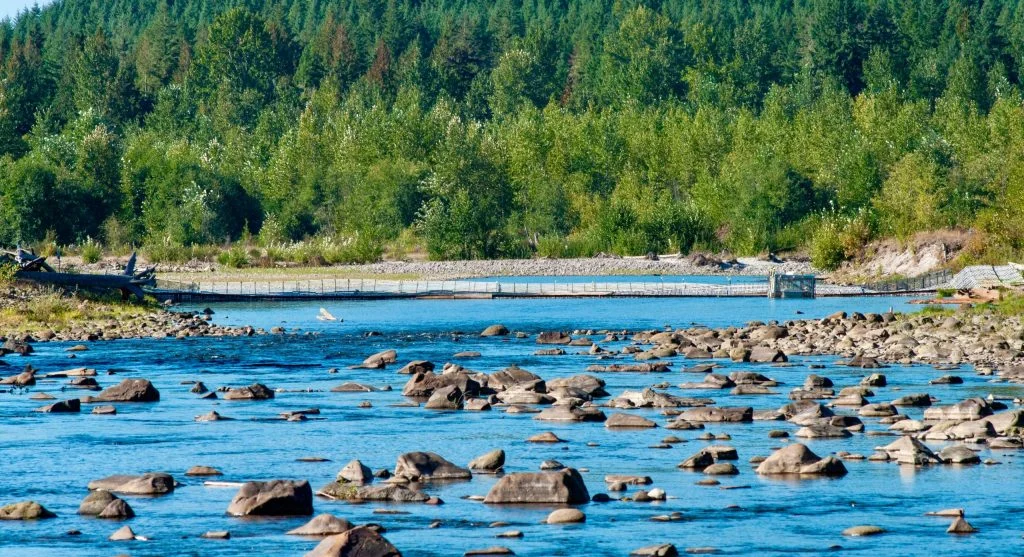 Quiet riverbanks in Canada with gentle flowing water and natural shoreline