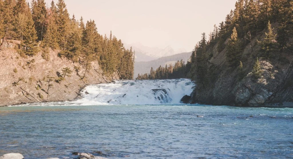 Peaceful riverbanks in Canada with calm water and surrounding trees