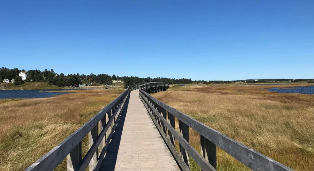 Canada wetlands boardwalk nature walk